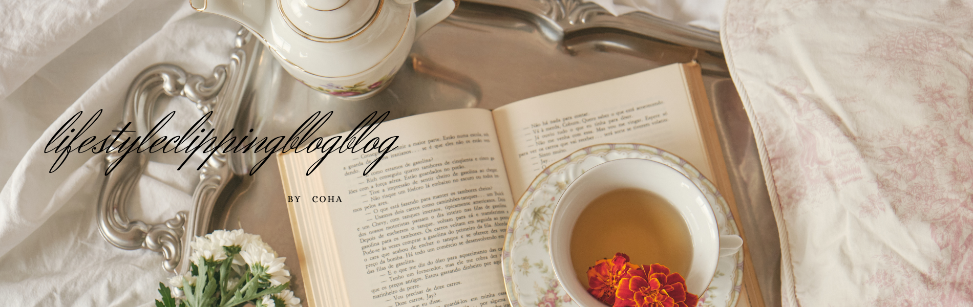 LifestyleClippingBlog